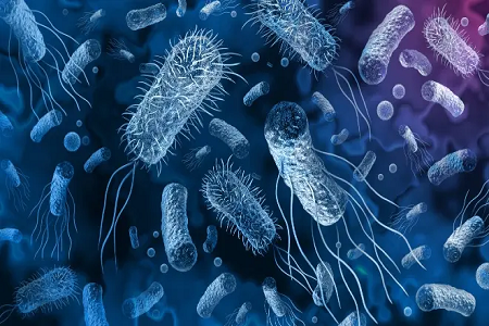 BABIO käivitab Vibrio Cholerae Rapid Antigeeni tuvastamise komplekti