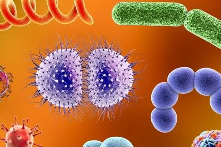 BABIO toob turule Salmonella Shigella rikastussöötme, mis tagab usaldusväärse enteraalse patogeeni transpordi