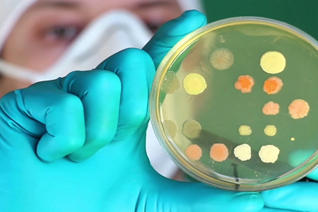 BABIO toob turule Premium Trypticase sojapuljongi (TSB) ülemaailmse kliinilise ja labori mikrobioloogia jaoks