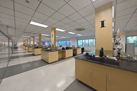 R2A agarisööde: tark valik keskkonna mikroobide seireks