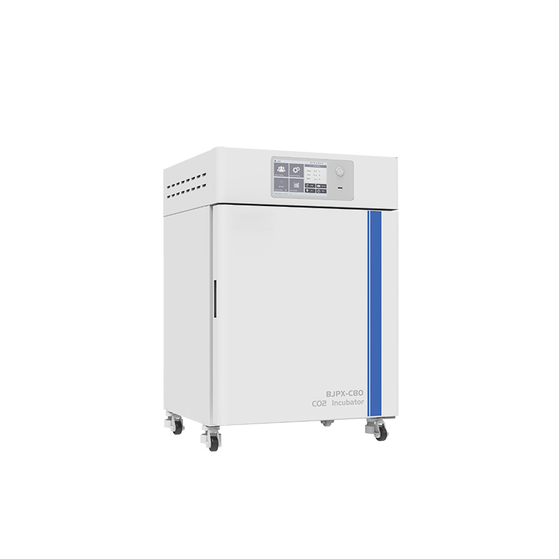 CO2 inkubaator BJPX-C50 BJPX-C80 BJPX-C160 BJPX-C80S BJPX-C160S